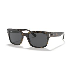 RAY-BAN 2190 SUN 1292B1 55 20 145 SOLE ACETATO